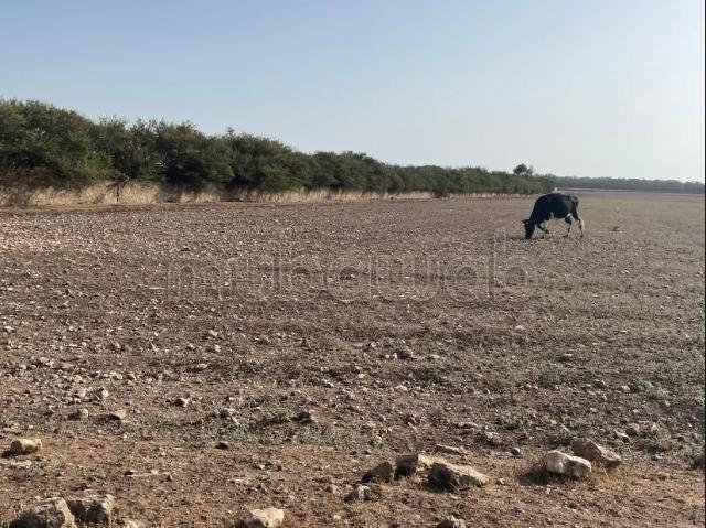 Terrain vente à Bouskoura, Gharb-Chrarda-Beni Hssen