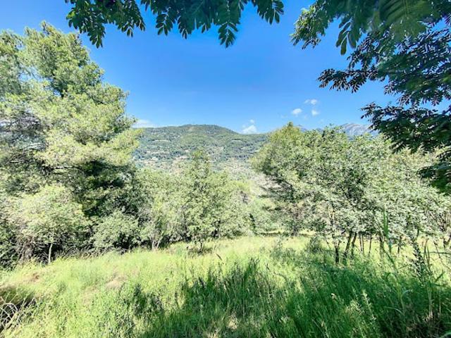 Terrain vente à France métropolitaine, Contes