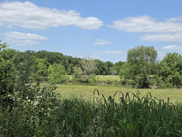 Terrain vente à Castillonnès