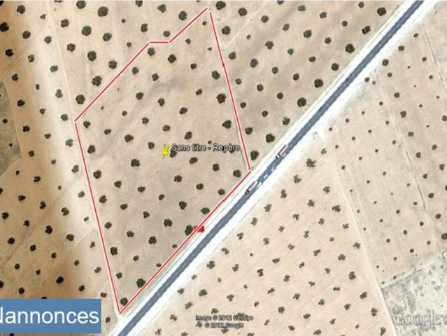 Terrain location