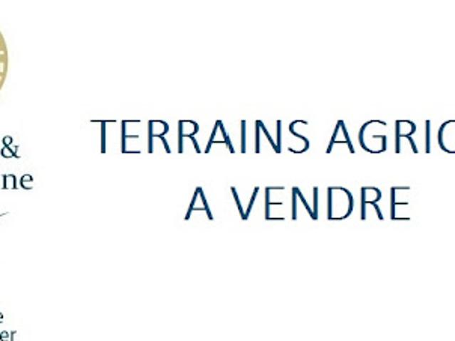 Terrain vente à Libourne, Moulon