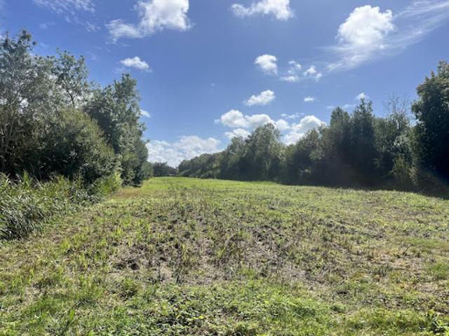 Terrain vente à France métropolitaine, Semussac