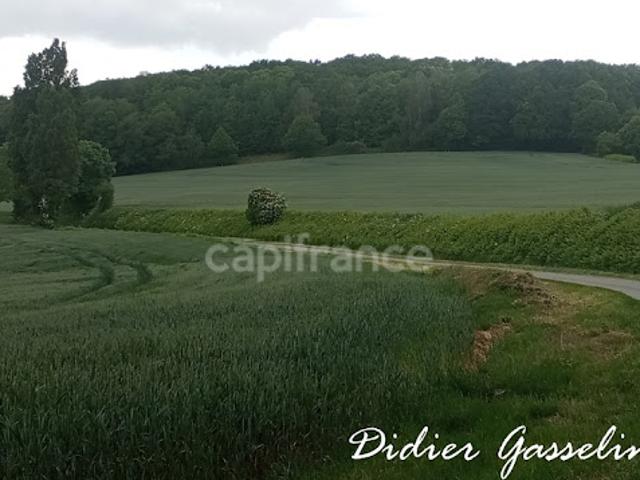 Terrain vente à Nogent-le-Rotrou, Brunelles
