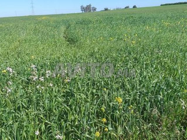 Propriété vente à Nouaceur, Gharb-Chrarda-Beni Hssen