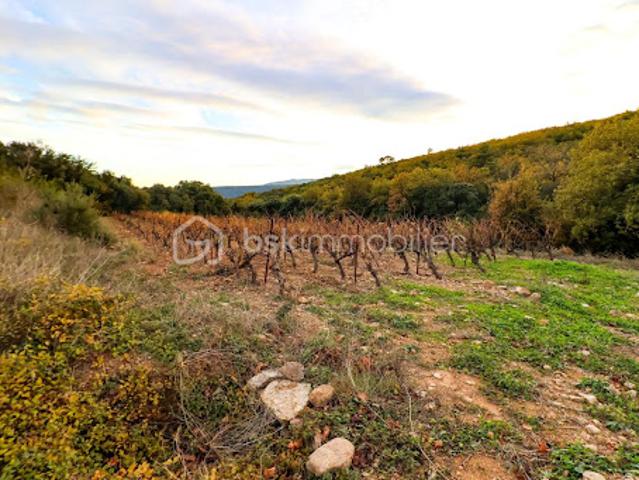 Terrain vente à Lodève, Le Bosc