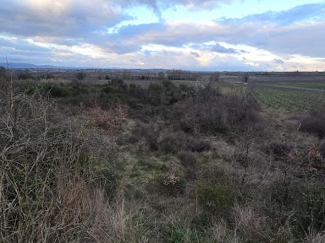 Terrain vente à Béziers, Pailhès