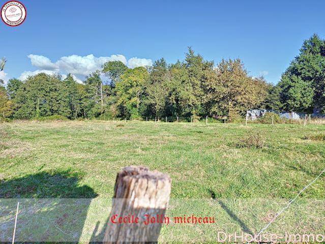 Terrain vente à La Croix, Cartelègue