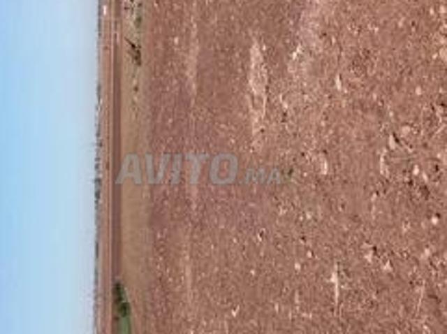 Propriété vente à Settat, Gharb-Chrarda-Beni Hssen