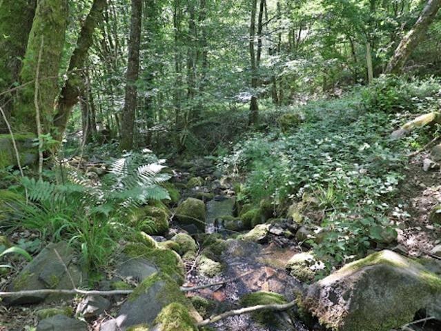Terrain vente à Thann-Guebwiller, Linthal