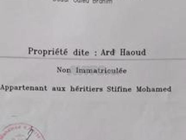 Propriété vente à Slimane, Gharb-Chrarda-Beni Hssen