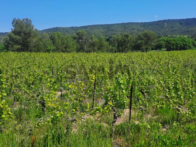 Terrain vente à Nîmes, Cannes-et-clairan