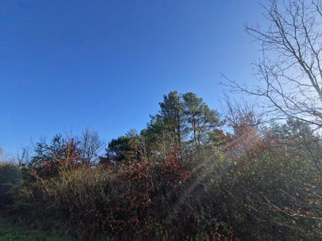 Terrain vente à Romorantin-Lanthenay, Châtillon-sur-cher