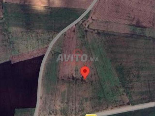 Propriété vente à Berrechid, Gharb-Chrarda-Beni Hssen
