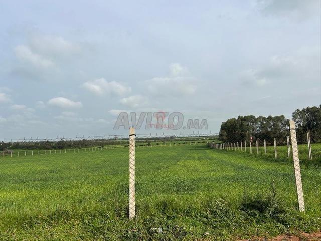 Propriété vente à El Ma, Gharb-Chrarda-Beni Hssen