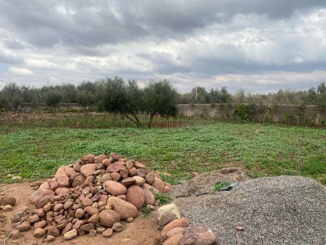 Terrain vente à Marrakech, L'Oriental