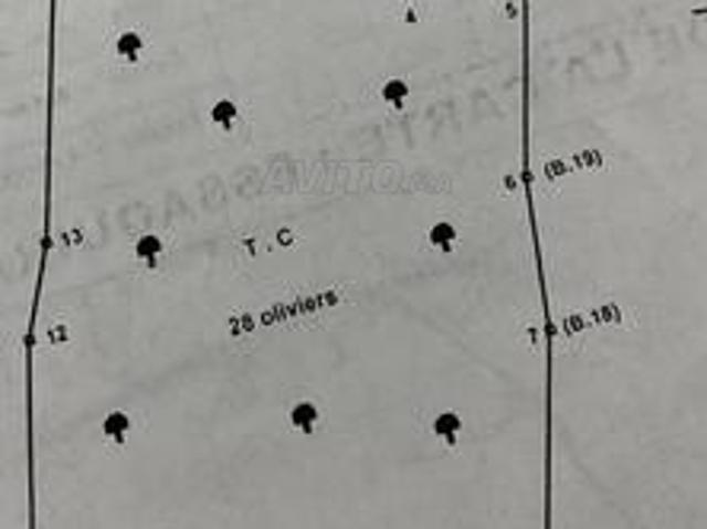 Propriété vente à Essaouira, L'Oriental