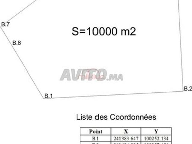 Propriété vente à L'Oriental