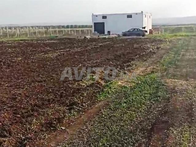 Propriété vente à Meknès