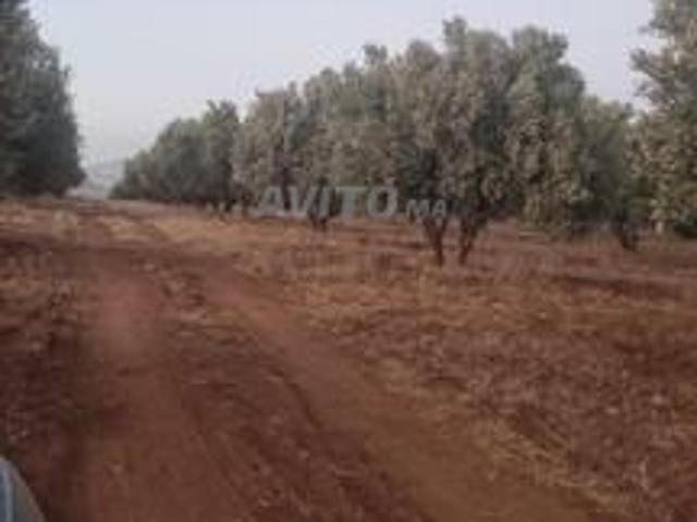 Propriété vente à Tasa