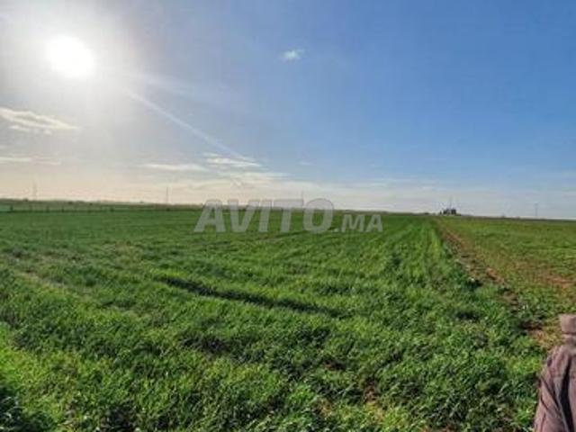 Propriété vente à El Ma, Gharb-Chrarda-Beni Hssen