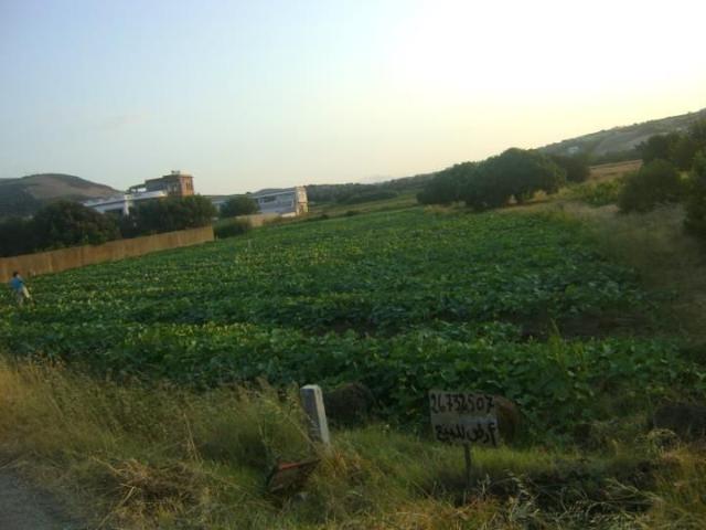 Terrain vente à Bizerte Nord