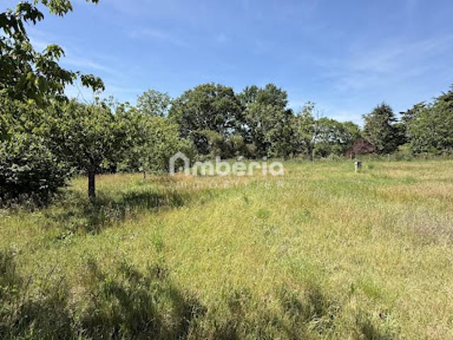 Terrain vente à Orléans, Germigny-des-prés
