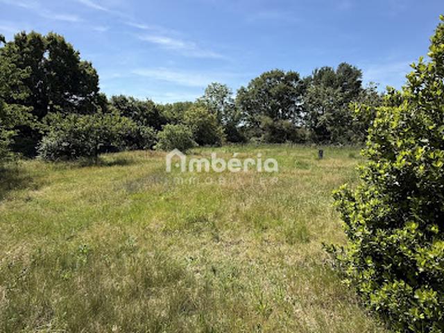 Terrain vente à Orléans, Germigny-des-prés
