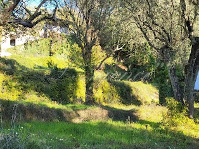 Terrain vente à France métropolitaine, Contes