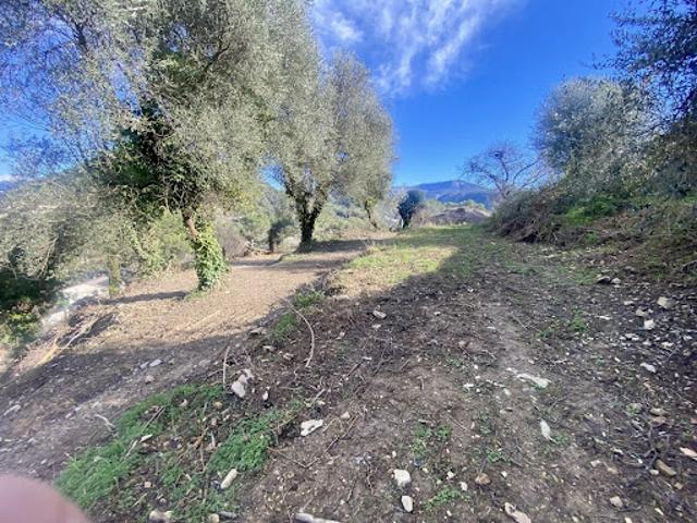 Terrain vente à France métropolitaine, Drap