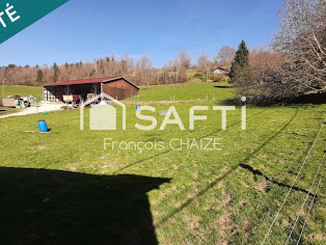 Terrain vente à Pontarlier, Les Alliés