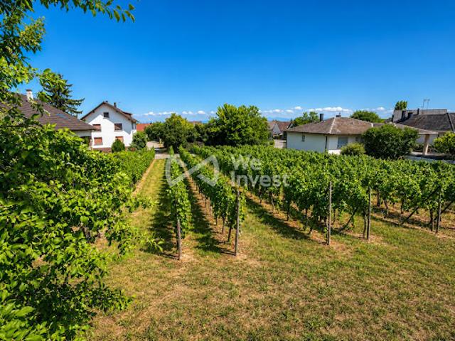 Terrain vente à Wettolsheim, Collectivité européenne d'Alsace