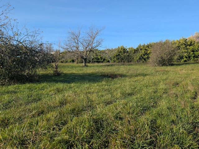 Terrain vente à Marmande, Cocumont
