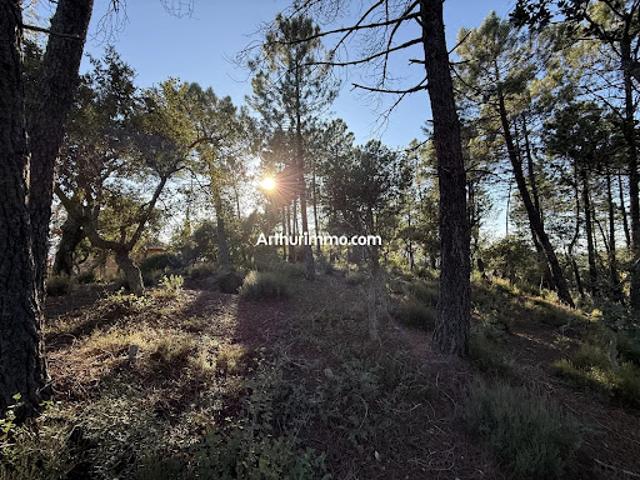 Terrain vente à Arrondissement de Draguignan, Vidauban