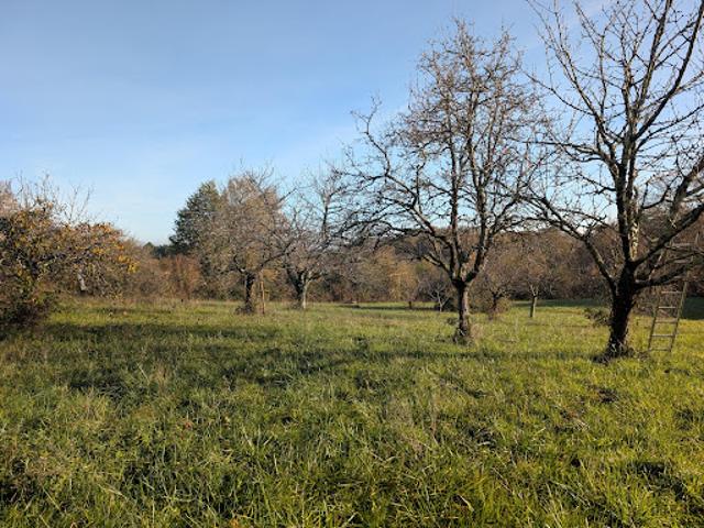 Terrain vente à Marmande, Cocumont