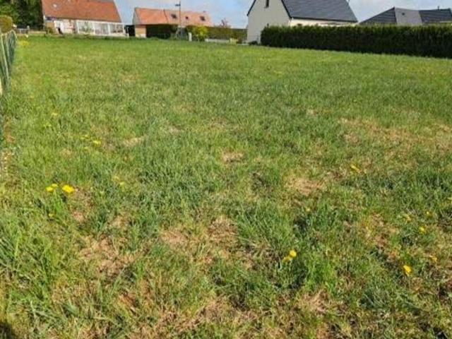 Terrain vente à Péronne, Licourt