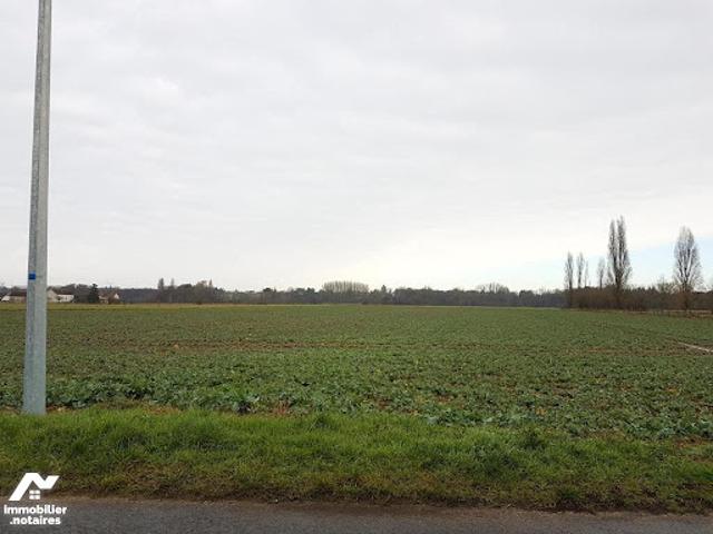 Terrain vente à Orléans, Germigny-des-prés