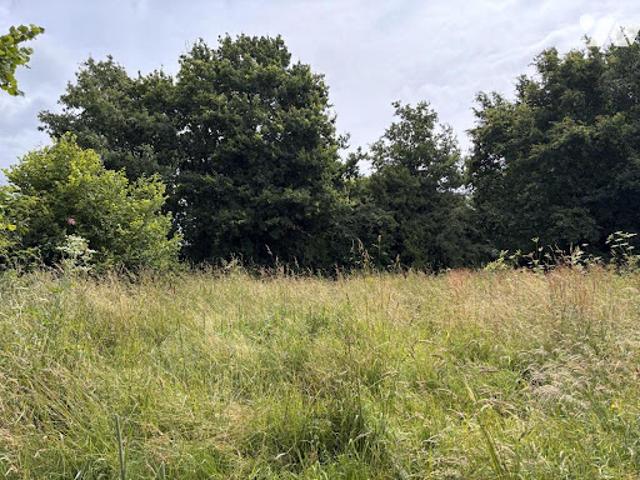 Terrain vente à Châteaubriant-Ancenis, Notre-dame-des-landes