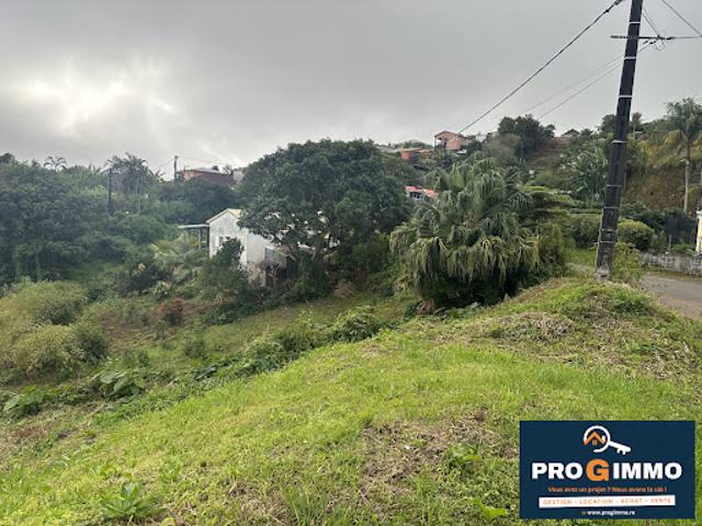 Terrain vente à La Réunion