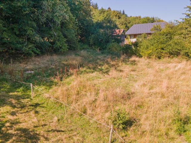Terrain vente à Thonon-les-Bains, Thollon-les-mémises