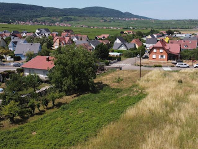 Terrain vente à Thann-Guebwiller, Pfaffenheim