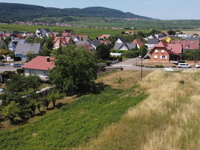 Terrain vente à Pfaffenheim, Collectivité européenne d'Alsace