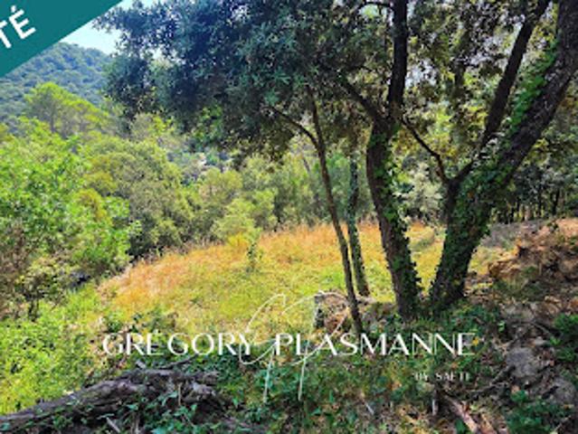 Terrain vente à Flassans-sur-Issole, Var
