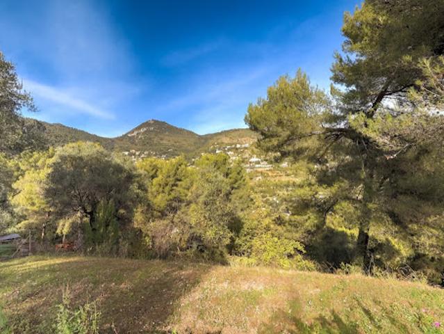 Terrain vente à France métropolitaine, Falicon