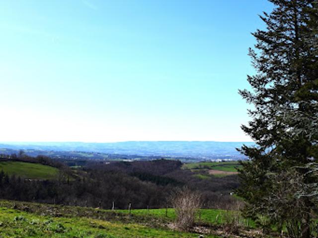 Terrain vente à Saint-Étienne, Saint-héand