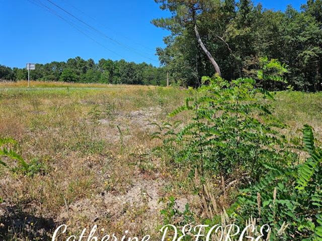 Terrain vente à France métropolitaine, Civrac-de-blaye