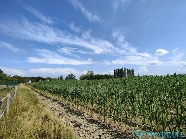 Terrain vente à Louhans-Châteaurenaud, Varennes-saint-sauveur