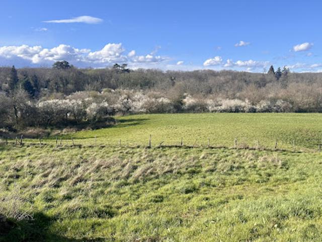 Terrain vente à Besançon