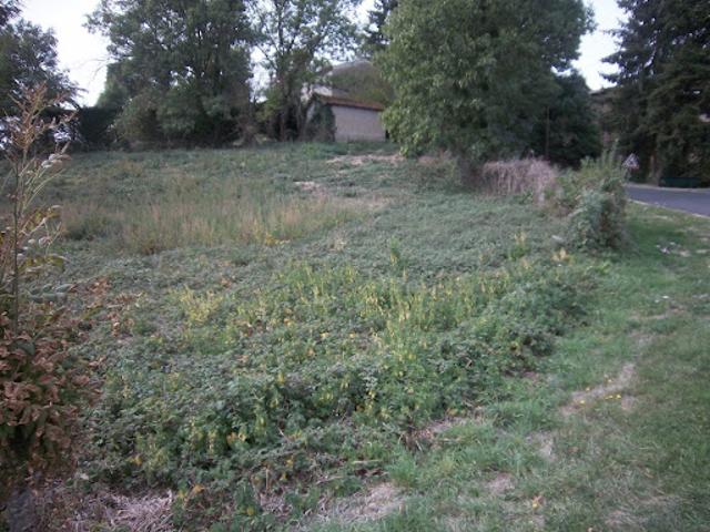 Terrain vente à La Guide, Fayet-le-Château