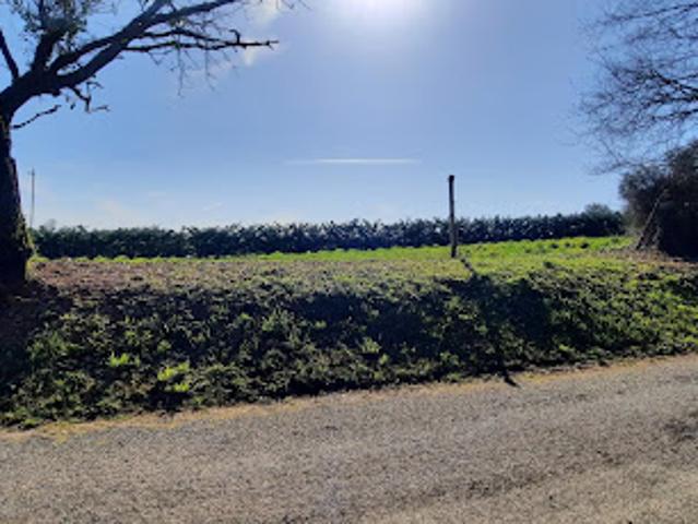 Terrain vente à Brive-la-Gaillarde, Chabrignac