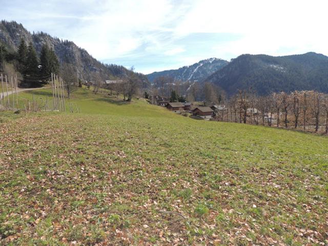 Terrain vente à Annecy, Saint-jean-de-sixt